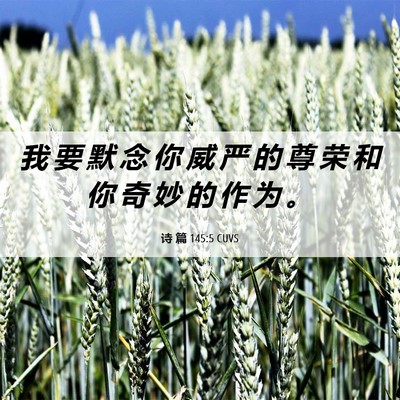 Picture 06 - 诗 篇 145:5 CUVS - 我 要 默 念 你 威 严 的 尊 荣 和 你 - Bible Verse Picture
