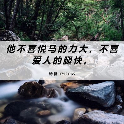 Picture 06 - 诗 篇 147:10 CUVS - 他 不 喜 悦 马 的 力 大 ， 不 喜 爱 - Bible Verse Picture