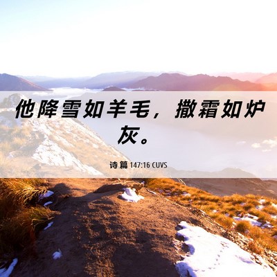 Picture 06 - 诗 篇 147:16 CUVS - 他 降 雪 如 羊 毛 ， 撒 霜 如 炉 灰 - Bible Verse Picture