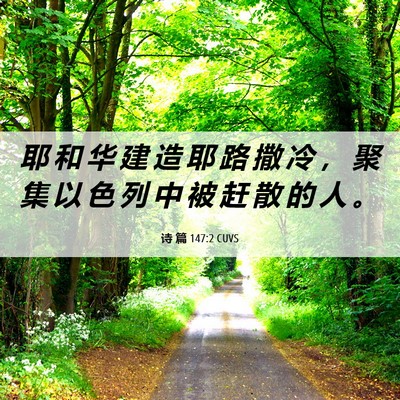 Picture 06 - 诗 篇 147:2 CUVS - 耶 和 华 建 造 耶 路 撒 冷 ， 聚 集 - Bible Verse Picture