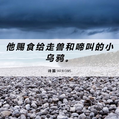 Picture 06 - 诗 篇 147:9 CUVS - 他 赐 食 给 走 兽 和 啼 叫 的 小 乌 - Bible Verse Picture