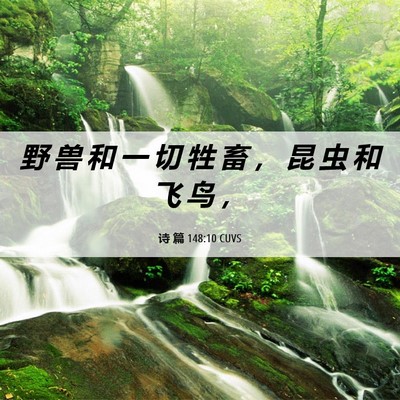 Picture 06 - 诗 篇 148:10 CUVS - 野 兽 和 一 切 牲 畜 ， 昆 虫 和 飞 - Bible Verse Picture