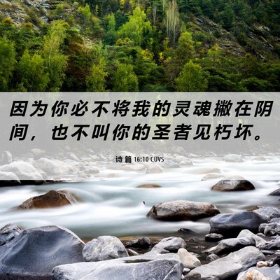 Picture 06 - 诗 篇 16:10 CUVS - 因 为 你 必 不 将 我 的 灵 魂 撇 在 - Bible Verse Picture