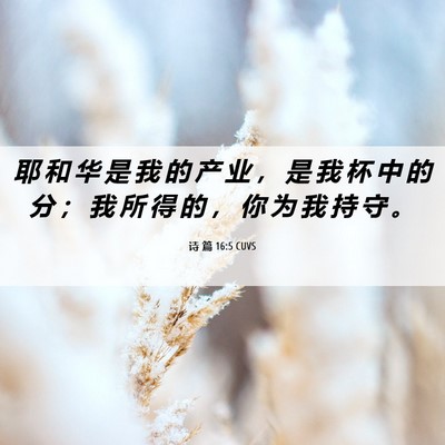 Picture 06 - 诗 篇 16:5 CUVS - 耶 和 华 是 我 的 产 业 ， 是 我 杯 - Bible Verse Picture