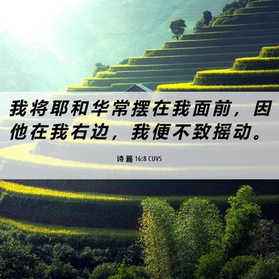 Picture 06 - 诗 篇 16:8 CUVS - 我 将 耶 和 华 常 摆 在 我 面 前 ， - Bible Verse Picture