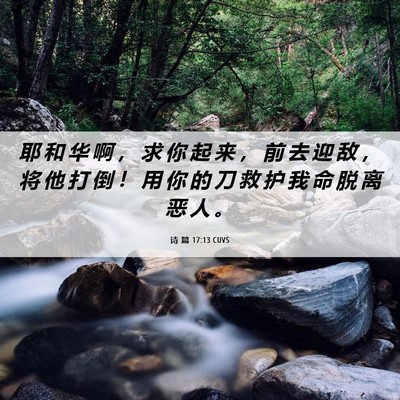 Picture 06 - 诗 篇 17:13 CUVS - 耶 和 华 啊 ， 求 你 起 来 ， 前 去 - Bible Verse Picture