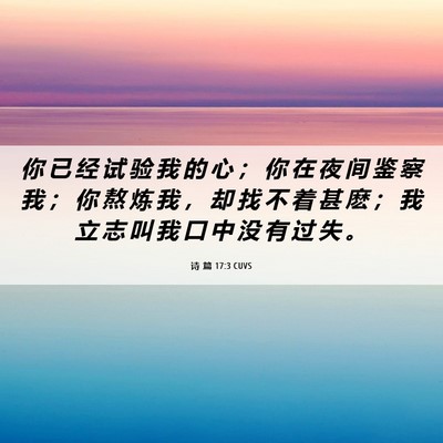 Picture 06 - 诗 篇 17:3 CUVS - 你 已 经 试 验 我 的 心 ； 你 在 夜 - Bible Verse Picture