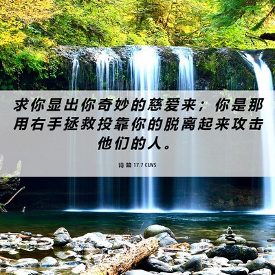 Picture 06 - 诗 篇 17:7 CUVS - 求 你 显 出 你 奇 妙 的 慈 爱 来 ； - Bible Verse Picture