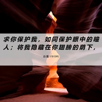 Picture 06 - 诗 篇 17:8 CUVS - 求 你 保 护 我 ， 如 同 保 护 眼 中 - Bible Verse Picture