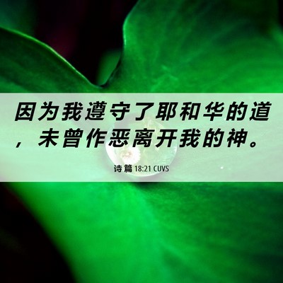 Picture 06 - 诗 篇 18:21 CUVS - 因 为 我 遵 守 了 耶 和 华 的 道 ， - Bible Verse Picture