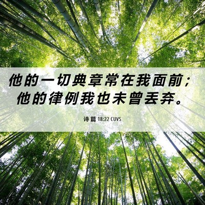 Picture 06 - 诗 篇 18:22 CUVS - 他 的 一 切 典 章 常 在 我 面 前 ； - Bible Verse Picture