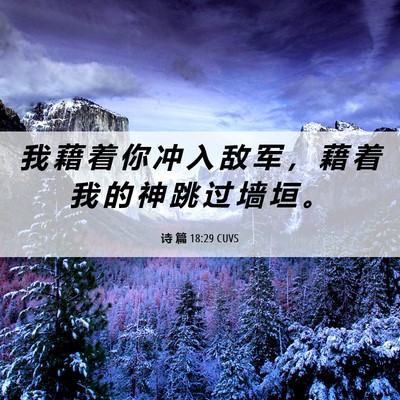 Picture 06 - 诗 篇 18:29 CUVS - 我 藉 着 你 冲 入 敌 军 ， 藉 着 我 - Bible Verse Picture