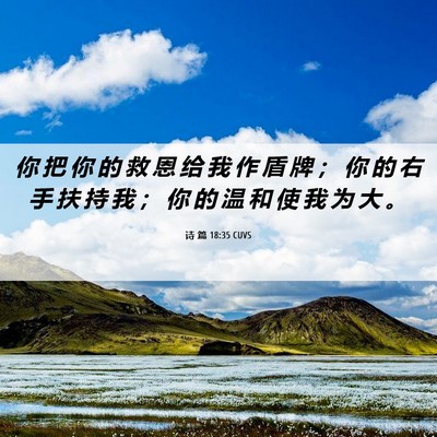 Picture 06 - 诗 篇 18:35 CUVS - 你 把 你 的 救 恩 给 我 作 盾 牌 ； - Bible Verse Picture