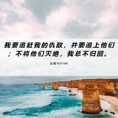 Picture 06 - 诗 篇 18:37 CUVS - 我 要 追 赶 我 的 仇 敌 ， 并 要 追 - Bible Verse Picture
