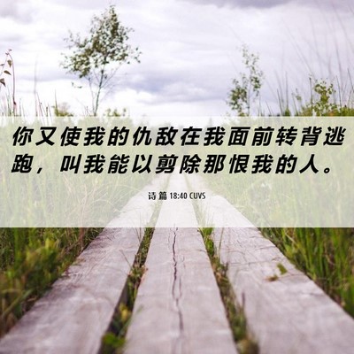 Picture 06 - 诗 篇 18:40 CUVS - 你 又 使 我 的 仇 敌 在 我 面 前 转 - Bible Verse Picture