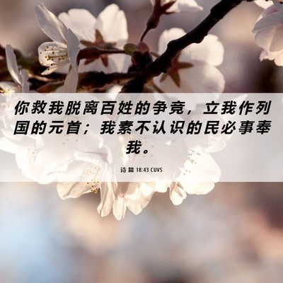 Picture 06 - 诗 篇 18:43 CUVS - 你 救 我 脱 离 百 姓 的 争 竞 ， 立 - Bible Verse Picture