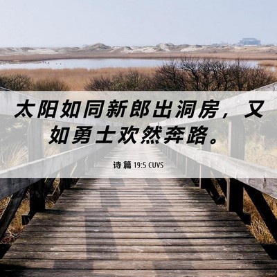 Picture 06 - 诗 篇 19:5 CUVS - 太 阳 如 同 新 郎 出 洞 房 ， 又 如 - Bible Verse Picture