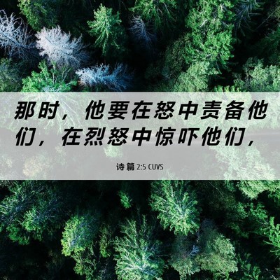 Picture 06 - 诗 篇 2:5 CUVS - 那 时 ， 他 要 在 怒 中 责 备 他 们 - Bible Verse Picture