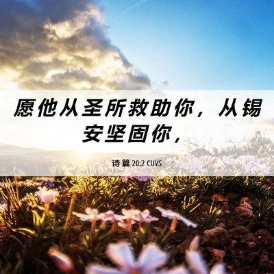 Picture 06 - 诗 篇 20:2 CUVS - 愿 他 从 圣 所 救 助 你 ， 从 锡 安 - Bible Verse Picture