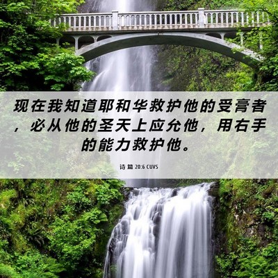 Picture 06 - 诗 篇 20:6 CUVS - 现 在 我 知 道 耶 和 华 救 护 他 的 - Bible Verse Picture