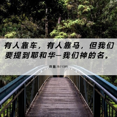Picture 06 - 诗 篇 20:7 CUVS - 有 人 靠 车 ， 有 人 靠 马 ， 但 我 - Bible Verse Picture