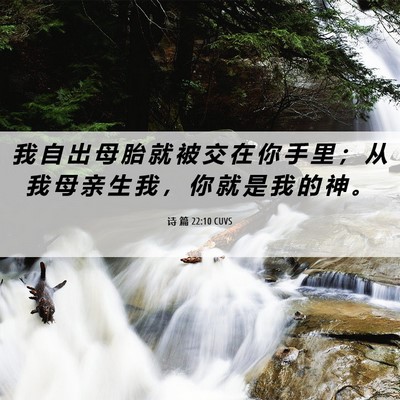 Picture 06 - 诗 篇 22:10 CUVS - 我 自 出 母 胎 就 被 交 在 你 手 里 - Bible Verse Picture