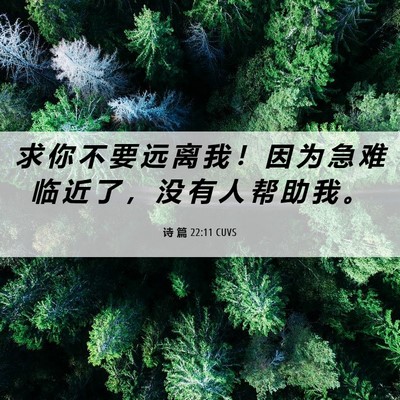 Picture 06 - 诗 篇 22:11 CUVS - 求 你 不 要 远 离 我 ！ 因 为 急 难 - Bible Verse Picture