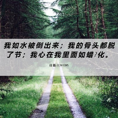 Picture 06 - 诗 篇 22:14 CUVS - 我 如 水 被 倒 出 来 ； 我 的 骨 头 - Bible Verse Picture