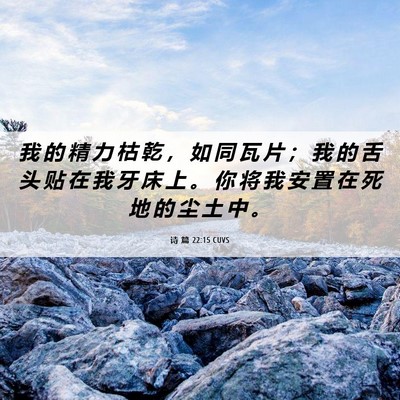 Picture 06 - 诗 篇 22:15 CUVS - 我 的 精 力 枯 乾 ， 如 同 瓦 片 ； - Bible Verse Picture