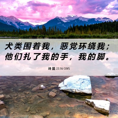 Picture 06 - 诗 篇 22:16 CUVS - 犬 类 围 着 我 ， 恶 党 环 绕 我 ； - Bible Verse Picture