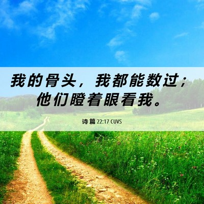Picture 06 - 诗 篇 22:17 CUVS - 我 的 骨 头 ， 我 都 能 数 过 ； 他 - Bible Verse Picture