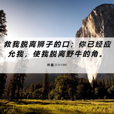 Picture 06 - 诗 篇 22:21 CUVS - 救 我 脱 离 狮 子 的 口 ； 你 已 经 - Bible Verse Picture