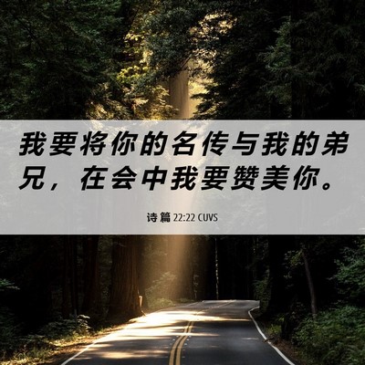Picture 06 - 诗 篇 22:22 CUVS - 我 要 将 你 的 名 传 与 我 的 弟 兄 - Bible Verse Picture