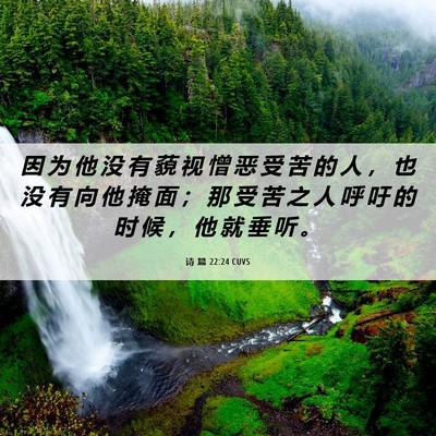 Picture 06 - 诗 篇 22:24 CUVS - 因 为 他 没 有 藐 视 憎 恶 受 苦 的 - Bible Verse Picture