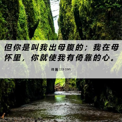 Picture 06 - 诗 篇 22:9 CUVS - 但 你 是 叫 我 出 母 腹 的 ； 我 在 - Bible Verse Picture