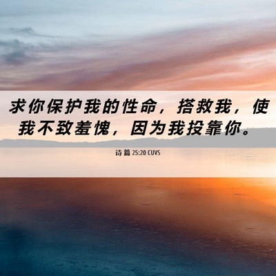 Picture 06 - 诗 篇 25:20 CUVS - 求 你 保 护 我 的 性 命 ， 搭 救 我 - Bible Verse Picture