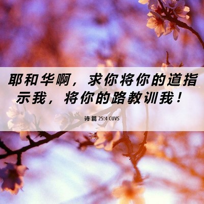 Picture 06 - 诗 篇 25:4 CUVS - 耶 和 华 啊 ， 求 你 将 你 的 道 指 - Bible Verse Picture