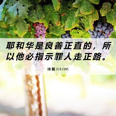 Picture 06 - 诗 篇 25:8 CUVS - 耶 和 华 是 良 善 正 直 的 ， 所 以 - Bible Verse Picture