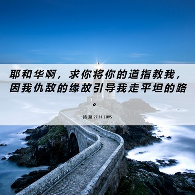 Picture 06 - 诗 篇 27:11 CUVS - 耶 和 华 啊 ， 求 你 将 你 的 道 指 - Bible Verse Picture