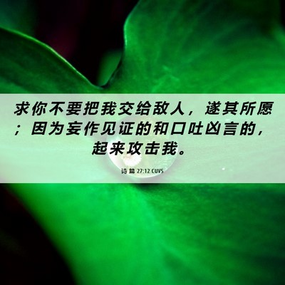 Picture 06 - 诗 篇 27:12 CUVS - 求 你 不 要 把 我 交 给 敌 人 ， 遂 - Bible Verse Picture