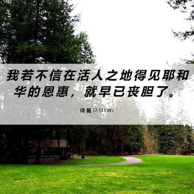 Picture 06 - 诗 篇 27:13 CUVS - 我 若 不 信 在 活 人 之 地 得 见 耶 - Bible Verse Picture
