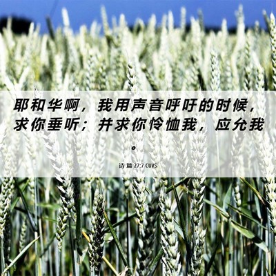 Picture 06 - 诗 篇 27:7 CUVS - 耶 和 华 啊 ， 我 用 声 音 呼 吁 的 - Bible Verse Picture