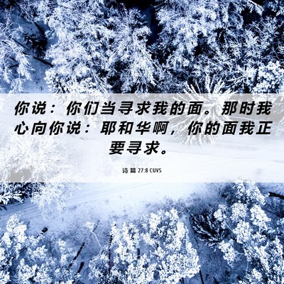 Picture 06 - 诗 篇 27:8 CUVS - 你 说 ： 你 们 当 寻 求 我 的 面 。 - Bible Verse Picture