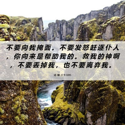 Picture 06 - 诗 篇 27:9 CUVS - 不 要 向 我 掩 面 。 不 要 发 怒 赶 - Bible Verse Picture