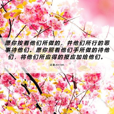 Picture 06 - 诗 篇 28:4 CUVS - 愿 你 按 着 他 们 所 做 的 ， 并 他 - Bible Verse Picture