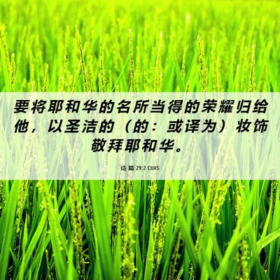 Picture 06 - 诗 篇 29:2 CUVS - 要 将 耶 和 华 的 名 所 当 得 的 荣 - Bible Verse Picture