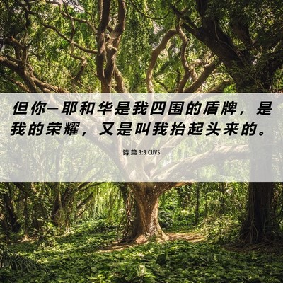 Picture 06 - 诗 篇 3:3 CUVS - 但 你 ─ 耶 和 华 是 我 四 围 的 盾 - Bible Verse Picture