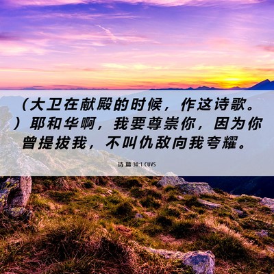 Picture 06 - 诗 篇 30:1 CUVS - （ 大 卫 在 献 殿 的 时 候 ， 作 这 - Bible Verse Picture