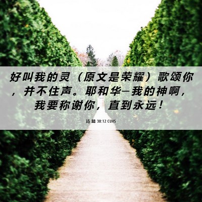 Picture 06 - 诗 篇 30:12 CUVS - 好 叫 我 的 灵 （ 原 文 是 荣 耀 ） - Bible Verse Picture