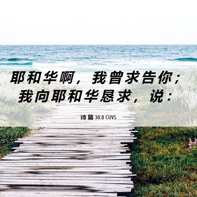 Picture 06 - 诗 篇 30:8 CUVS - 耶 和 华 啊 ， 我 曾 求 告 你 ； 我 - Bible Verse Picture